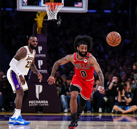NBA,公牛,湖人